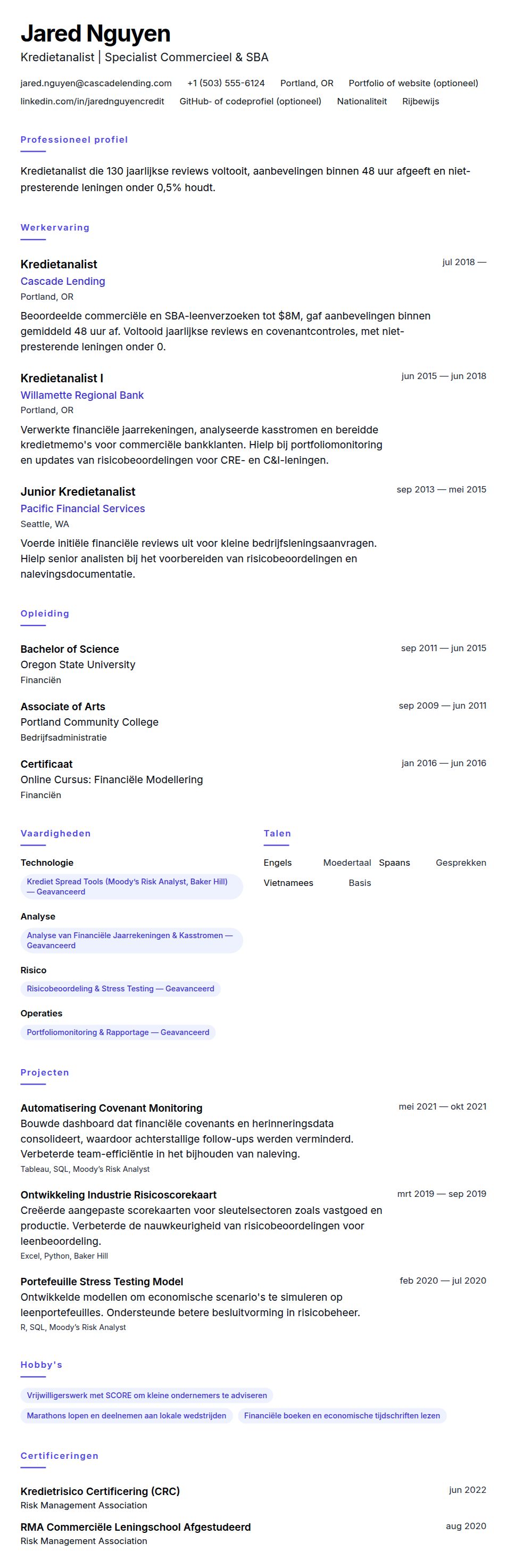Cv-voorvertoning voor Voorbeeld cv Kredietanalist