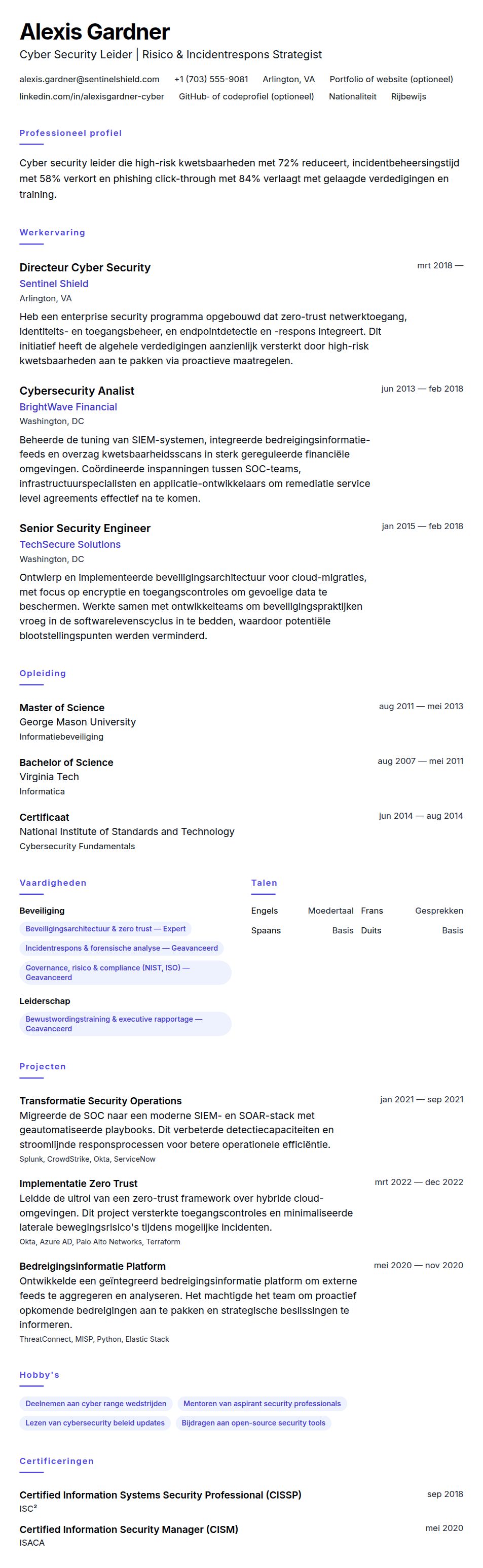 Cv-voorvertoning voor Voorbeeld CV Cyber Security Professional