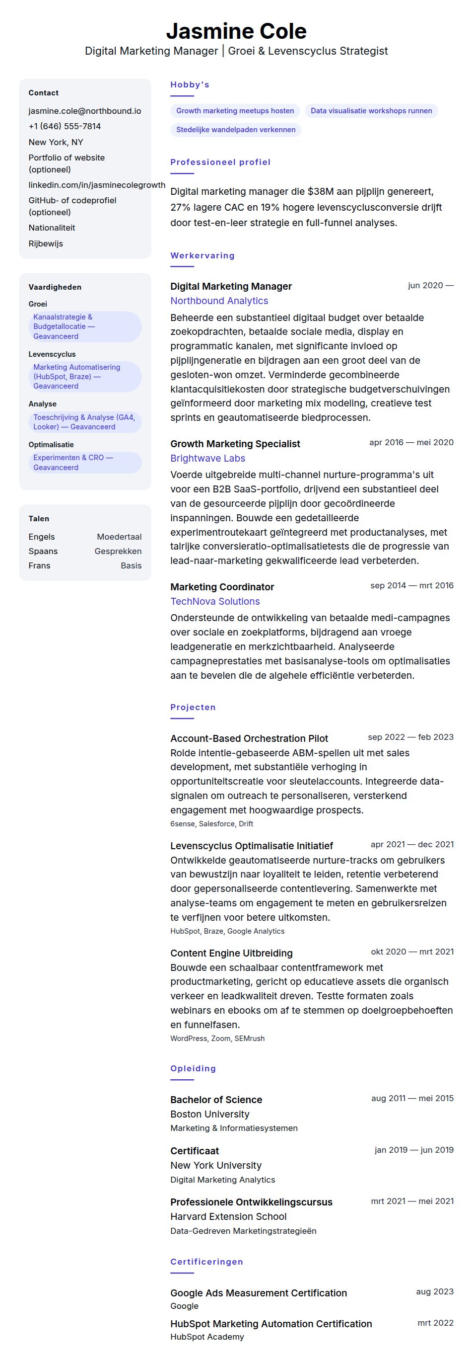 Voorbeeld CV Digital Marketing Manager