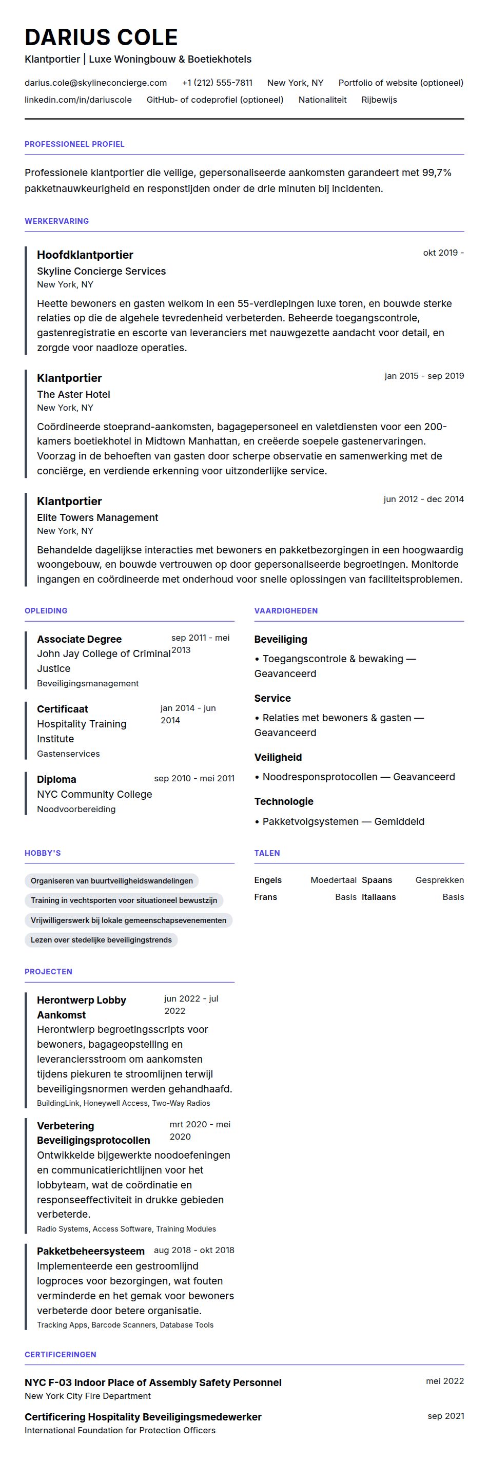 Cv-voorvertoning voor Voorbeeld cv klantportier