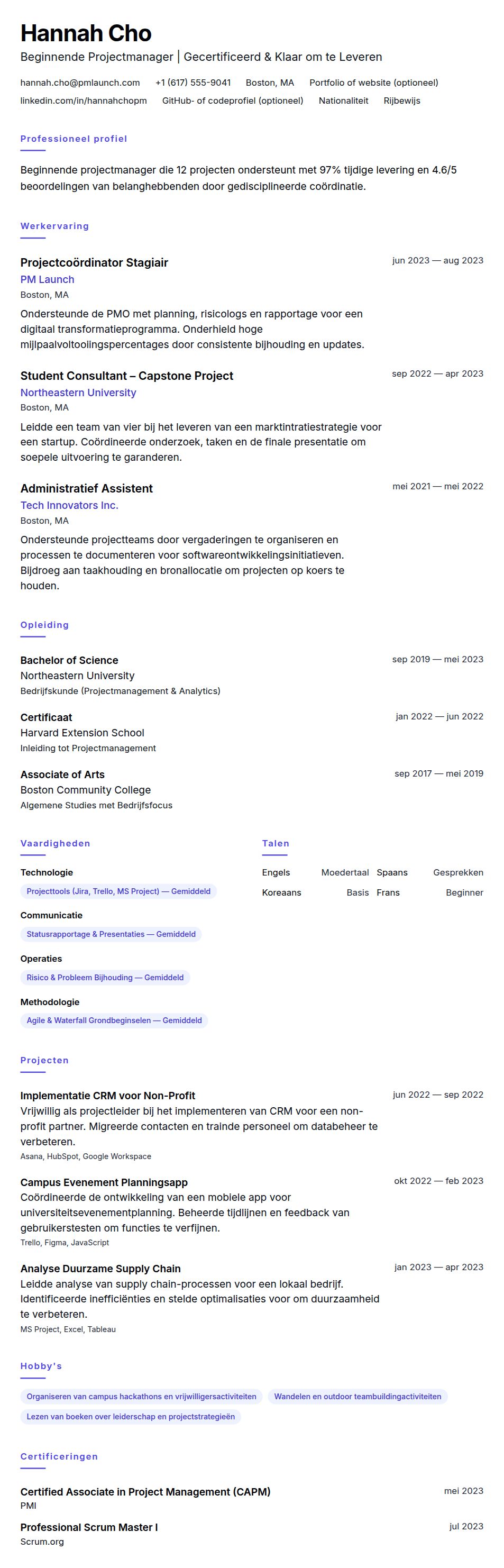 Cv-voorvertoning voor Voorbeeld CV voor Beginnende Projectmanager