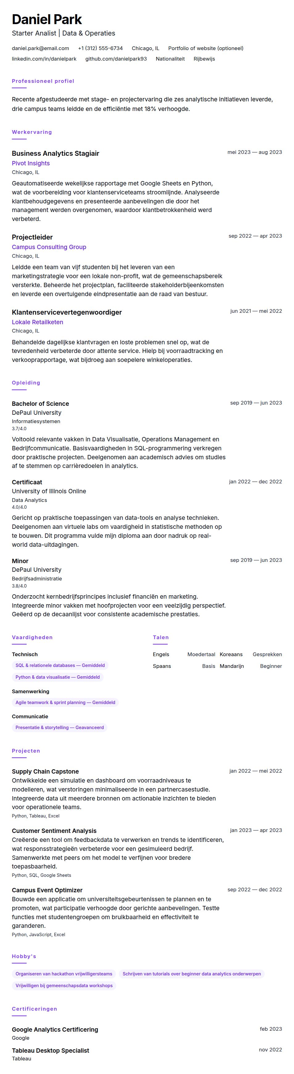 Cv-voorvertoning voor Starter CV Voorbeeld