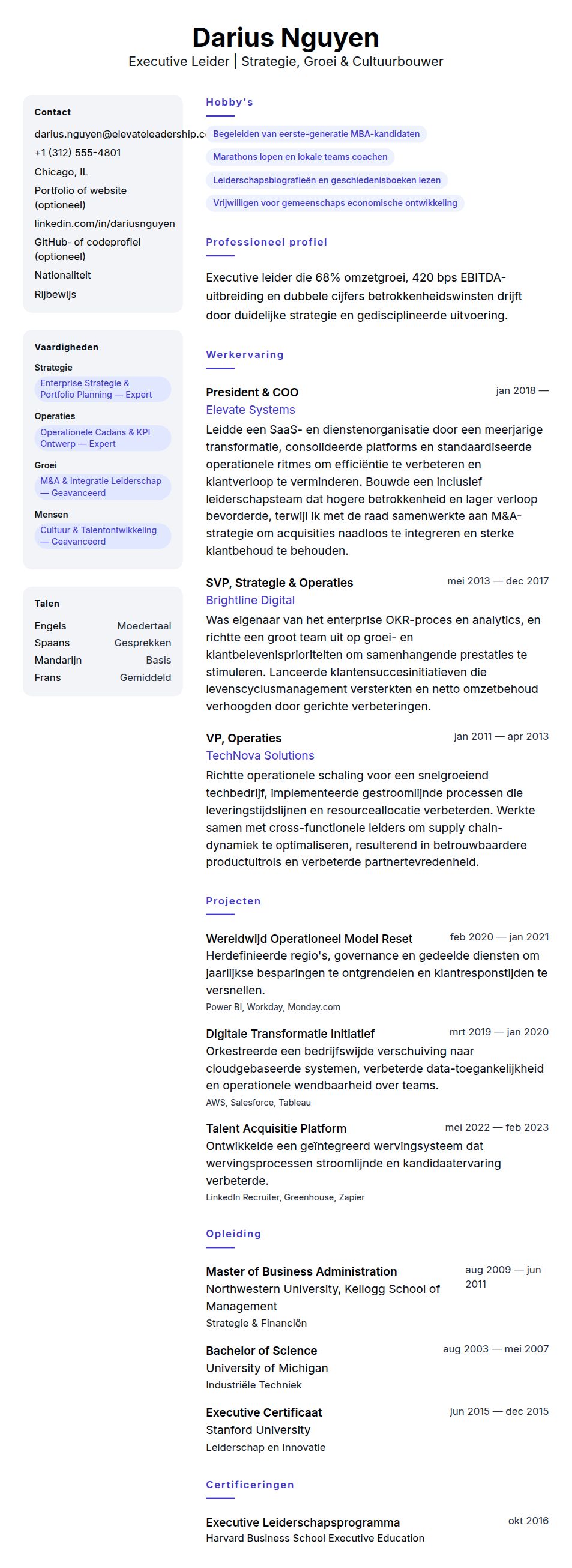 Cv-voorvertoning voor Voorbeeld van Executive Leider CV