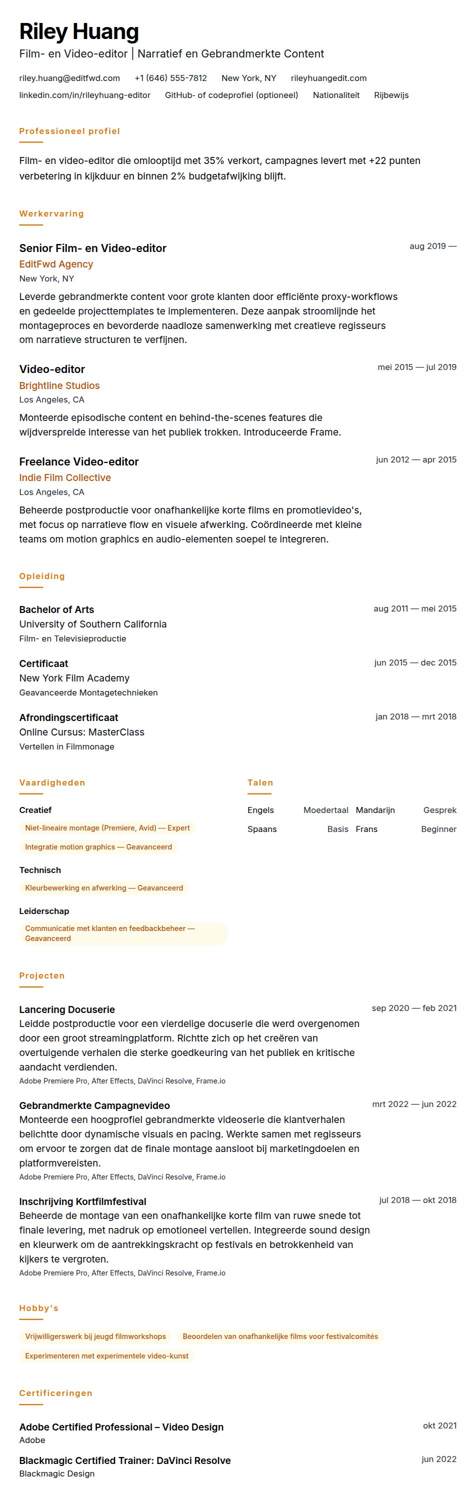 Cv-voorvertoning voor Voorbeeld CV Film- en Video-editor