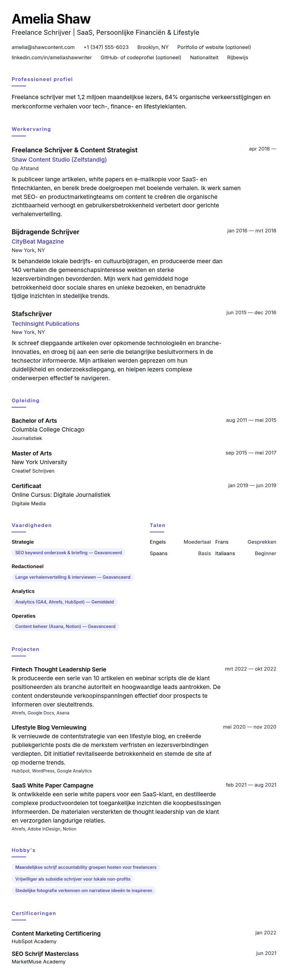 Cv-voorvertoning voor Freelance Schrijver CV Voorbeeld