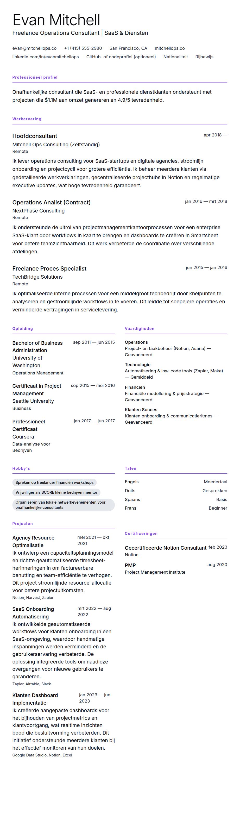 Cv-voorvertoning voor Freelancer CV-voorbeeld
