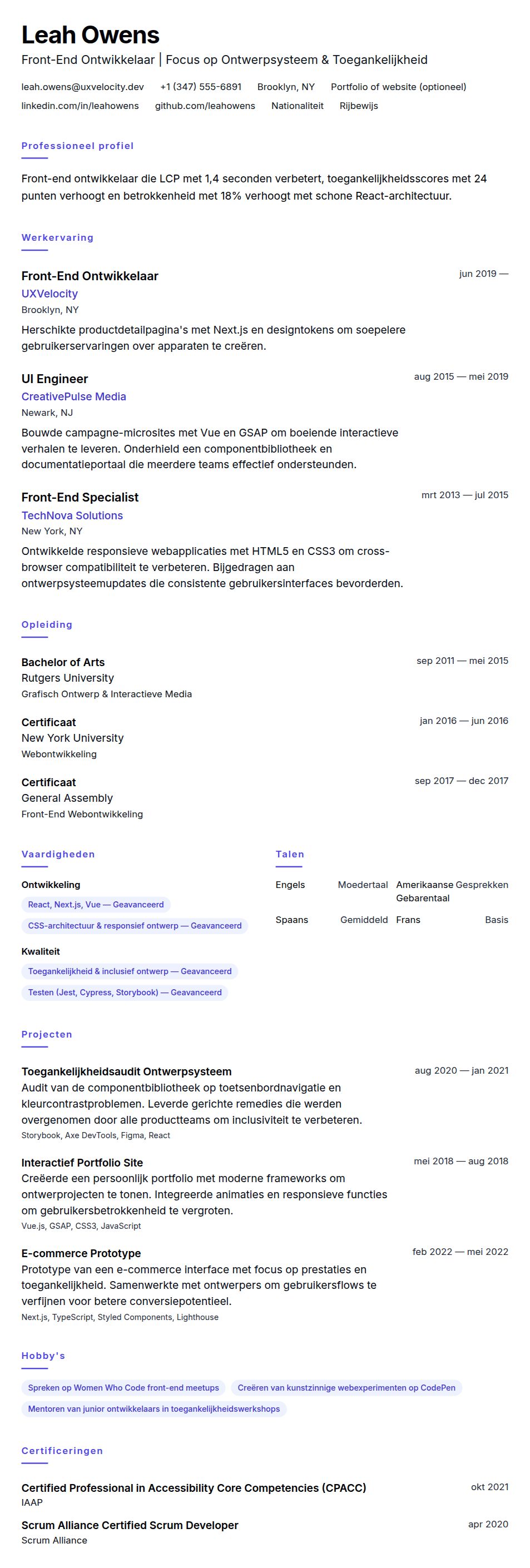 Cv-voorvertoning voor Voorbeeld CV Front-End Ontwikkelaar