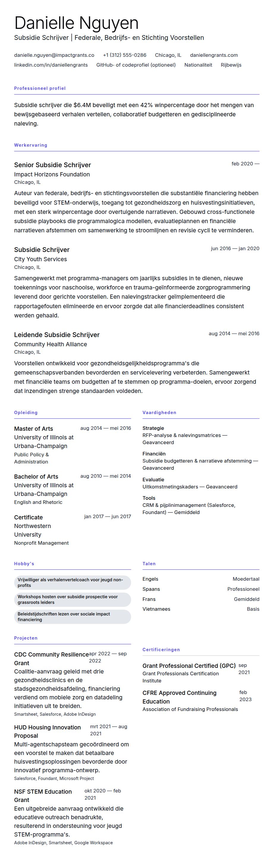 Subsidie Schrijver CV Voorbeeld