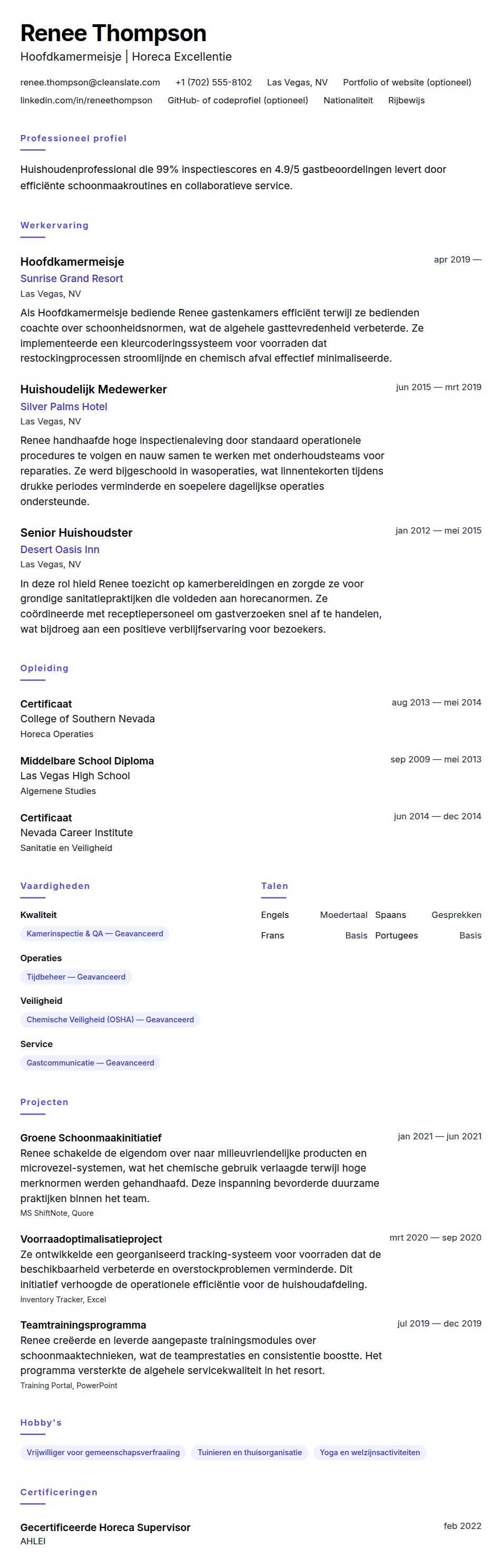 Huishouden CV Voorbeeld