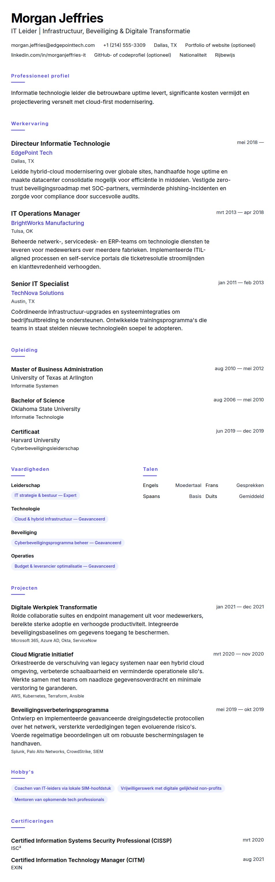 Cv-voorvertoning voor Informatie Technologie Professional CV Voorbeeld