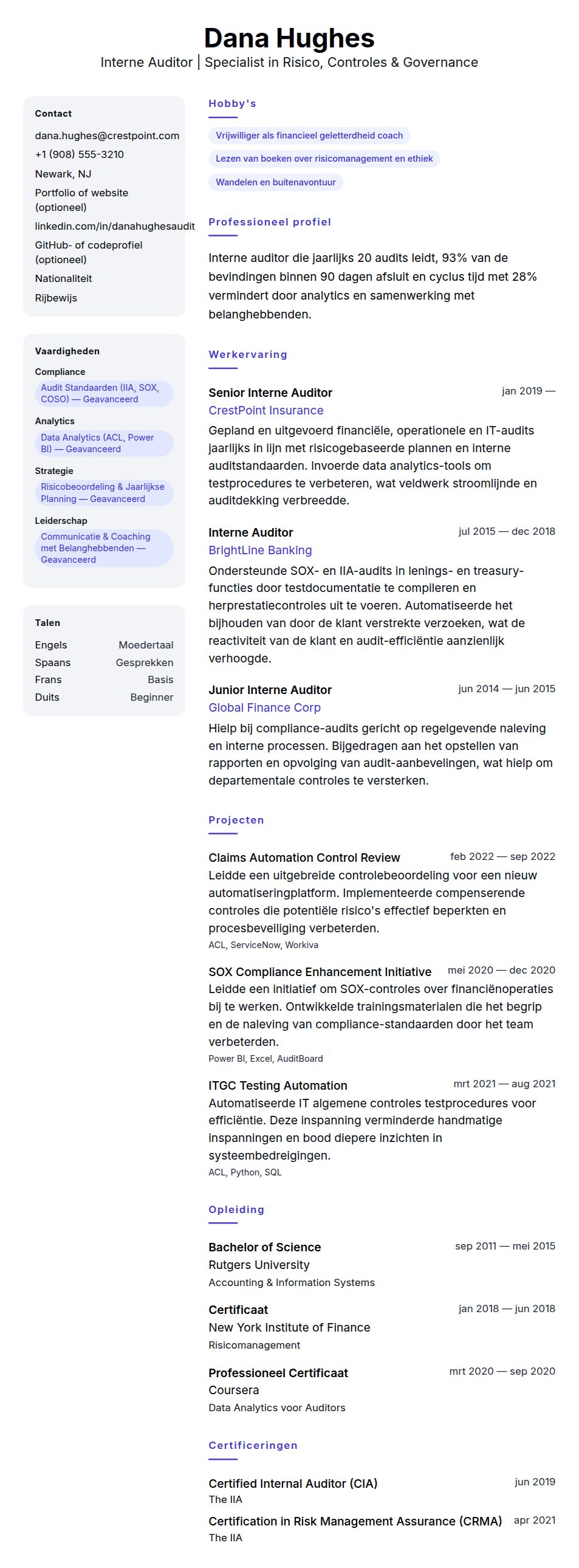 Cv-voorvertoning voor Voorbeeld CV Interne Auditor
