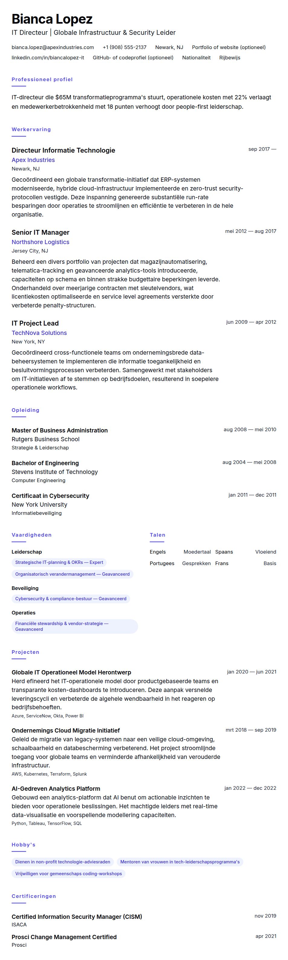 Cv-voorvertoning voor IT Directeur CV Voorbeeld