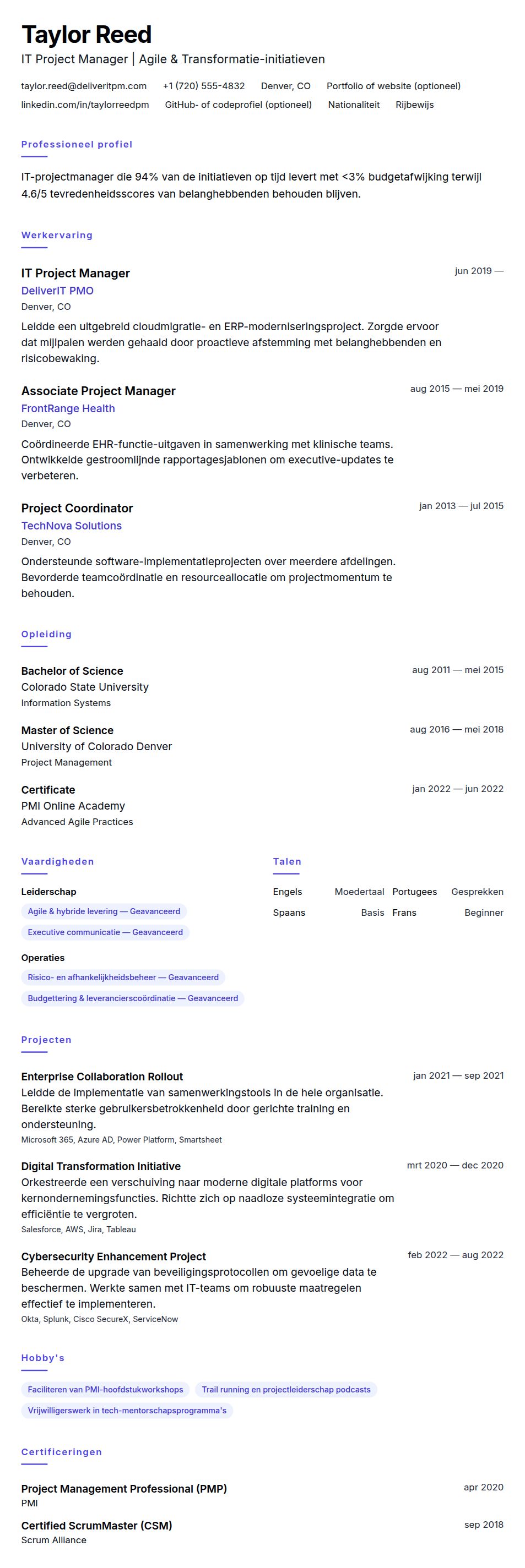 Cv-voorvertoning voor IT Project Manager CV-voorbeeld