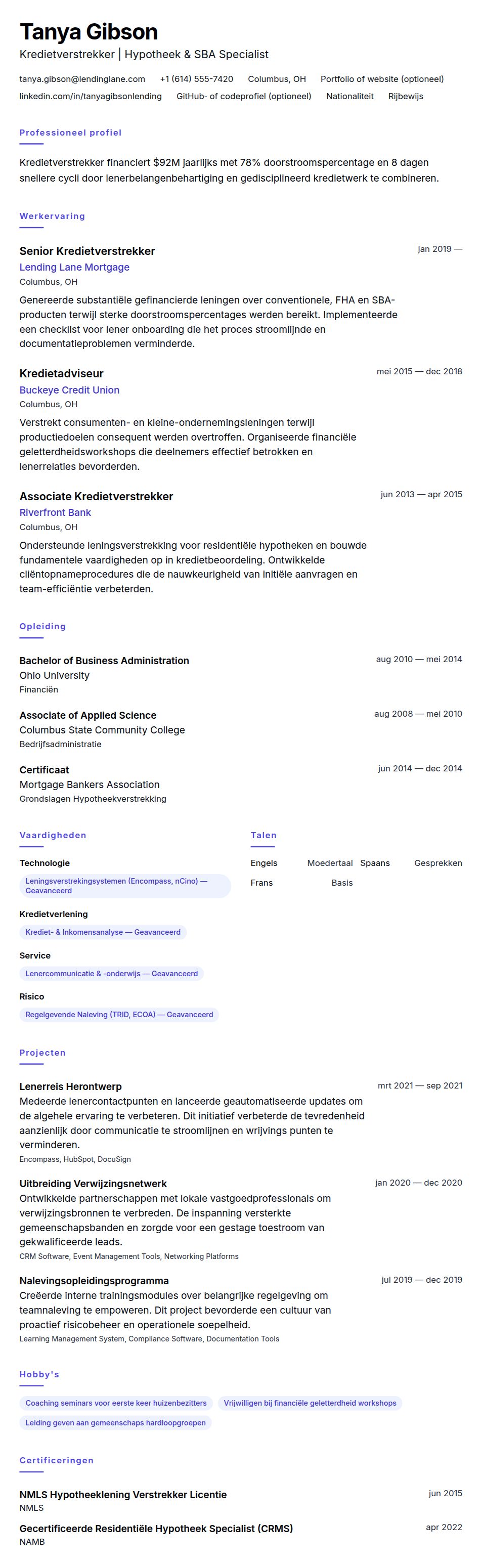 Cv-voorvertoning voor Kredietverstrekker CV Voorbeeld