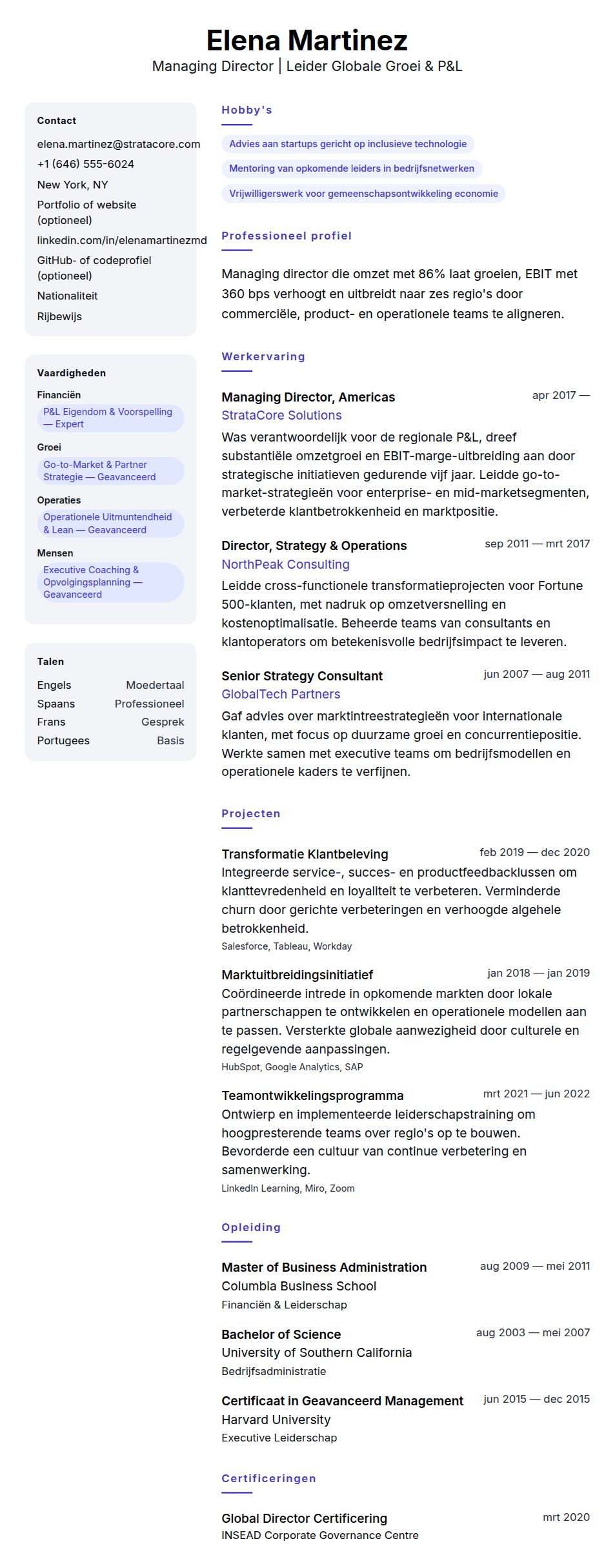 Cv-voorvertoning voor Voorbeeld CV Managing Director