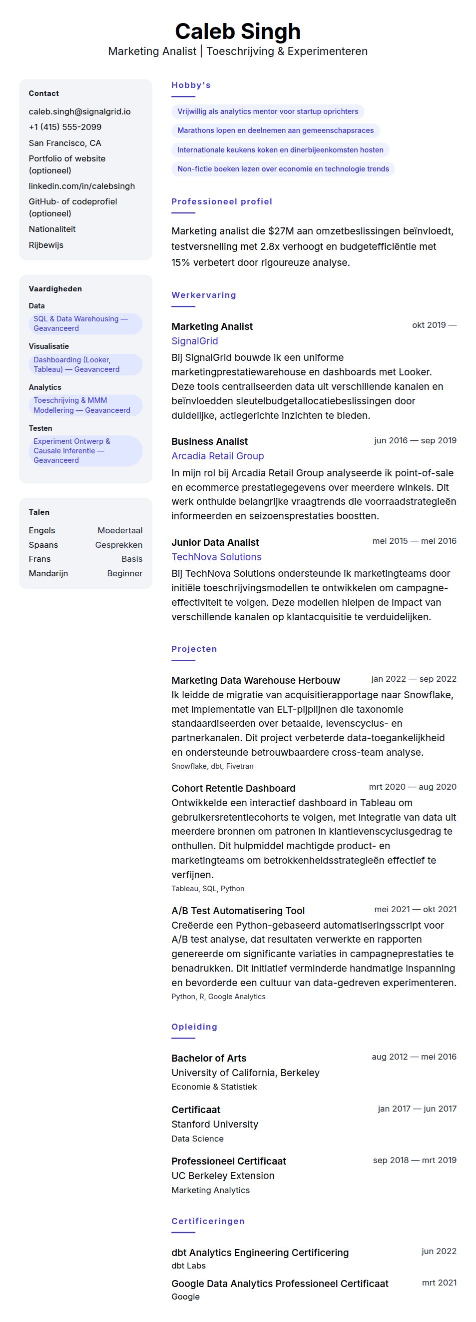 Cv-voorvertoning voor Marketing Analist CV Voorbeeld
