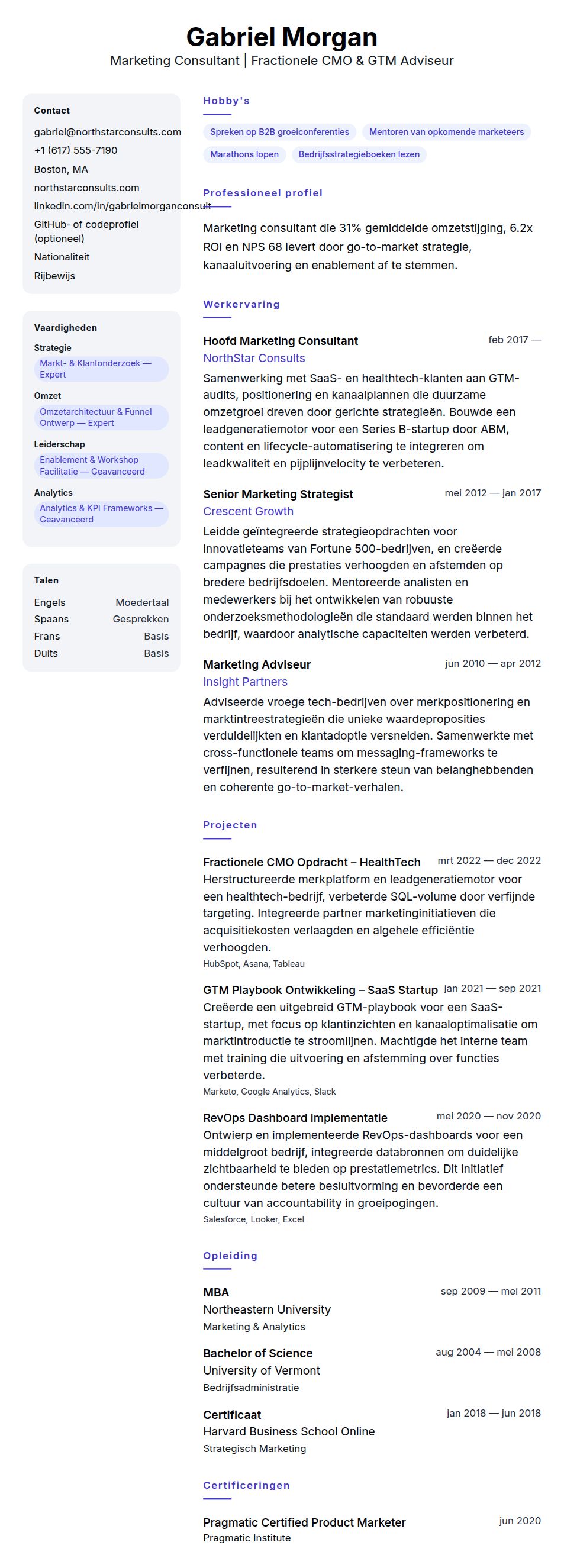Cv-voorvertoning voor Voorbeeld van Marketing Consultant CV