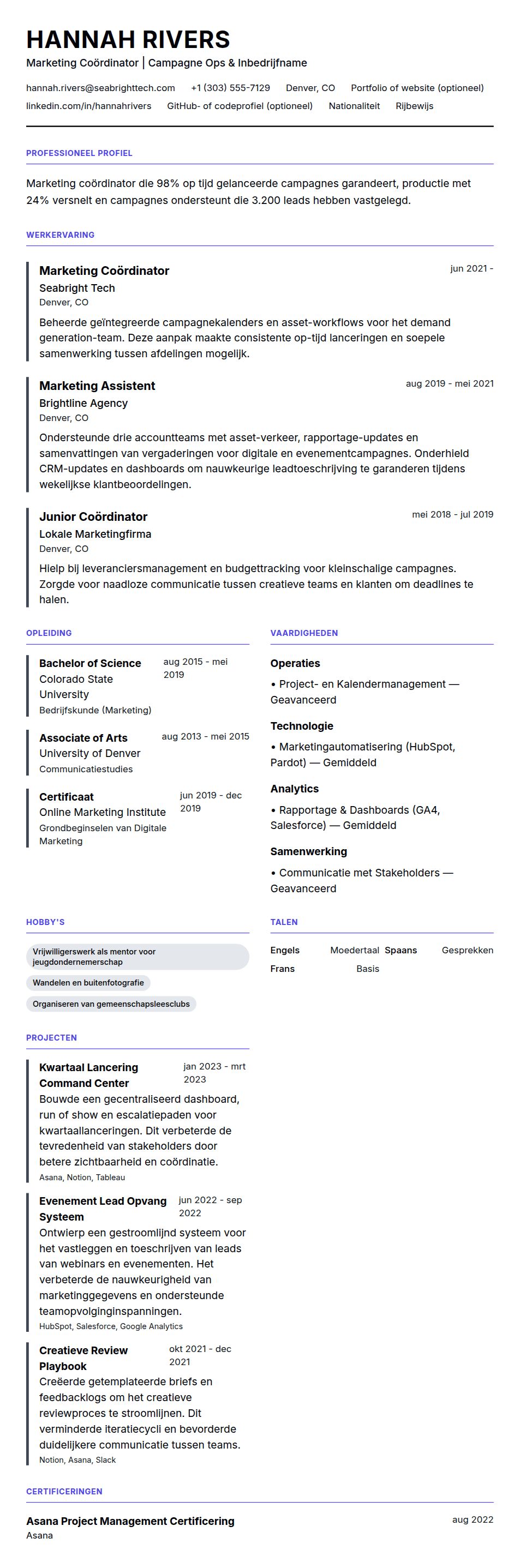 Cv-voorvertoning voor Voorbeeld CV Marketing Coördinator