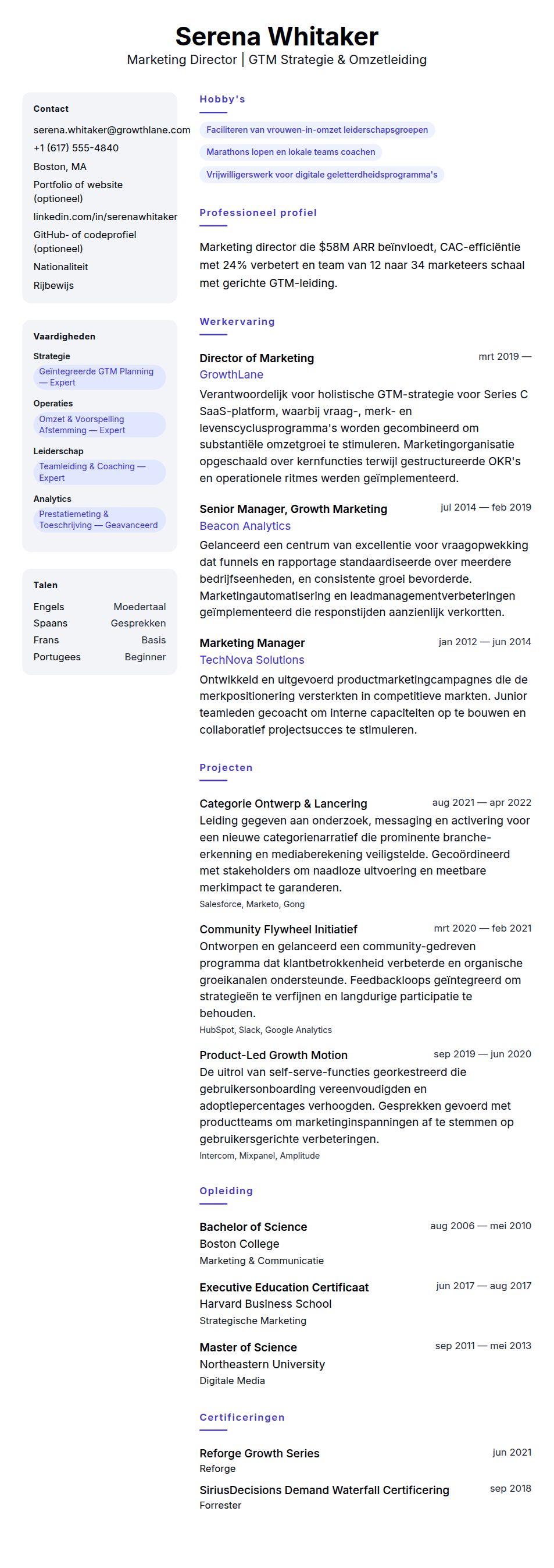 Cv-voorvertoning voor Voorbeeld cv Marketing Director