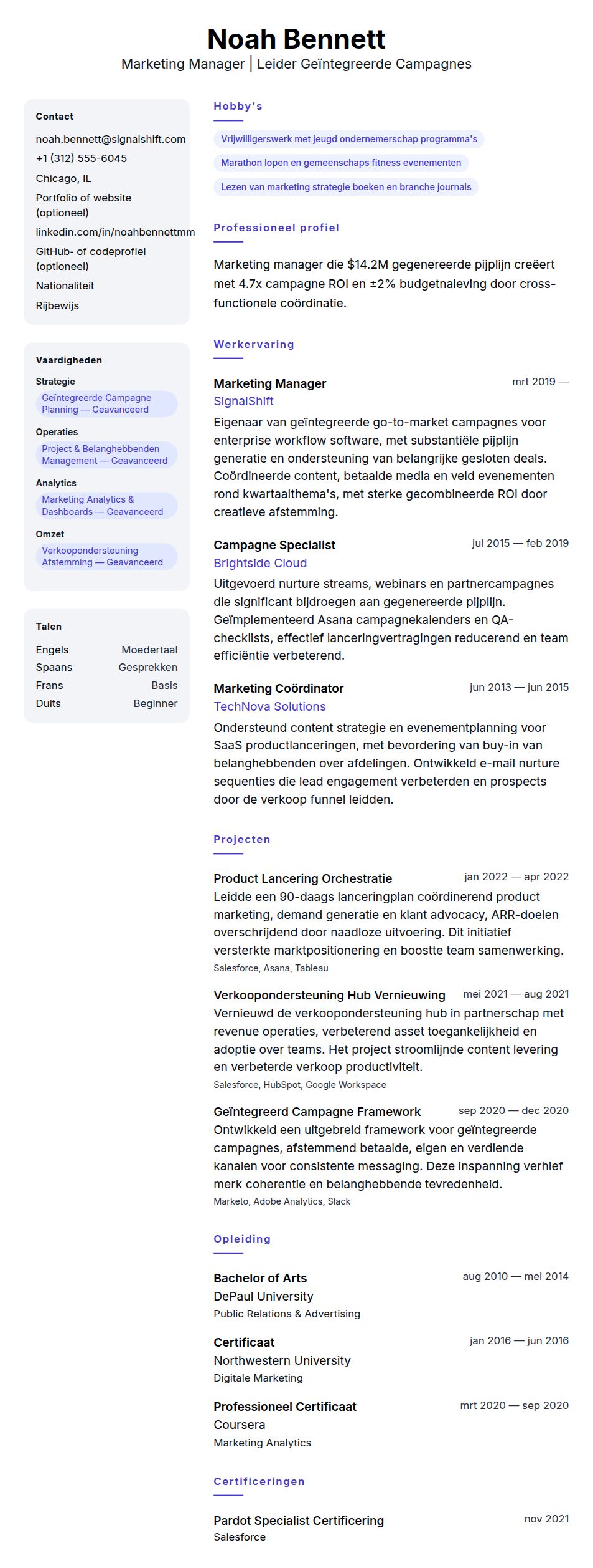 Cv-voorvertoning voor Voorbeeld cv Marketing Manager