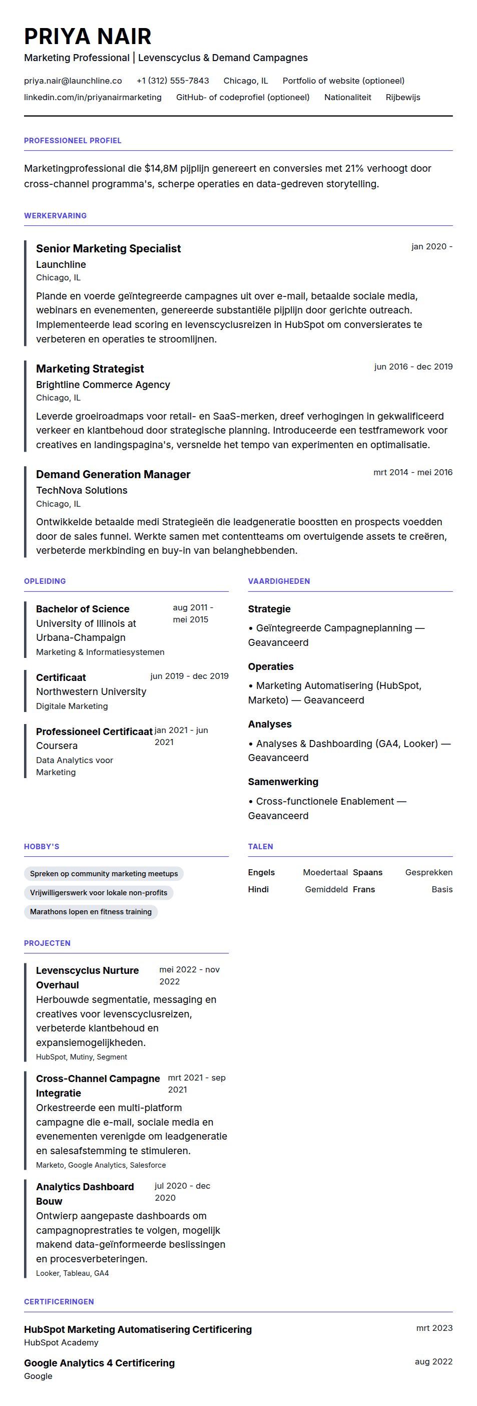 Cv-voorvertoning voor Voorbeeld cv Marketing Professional