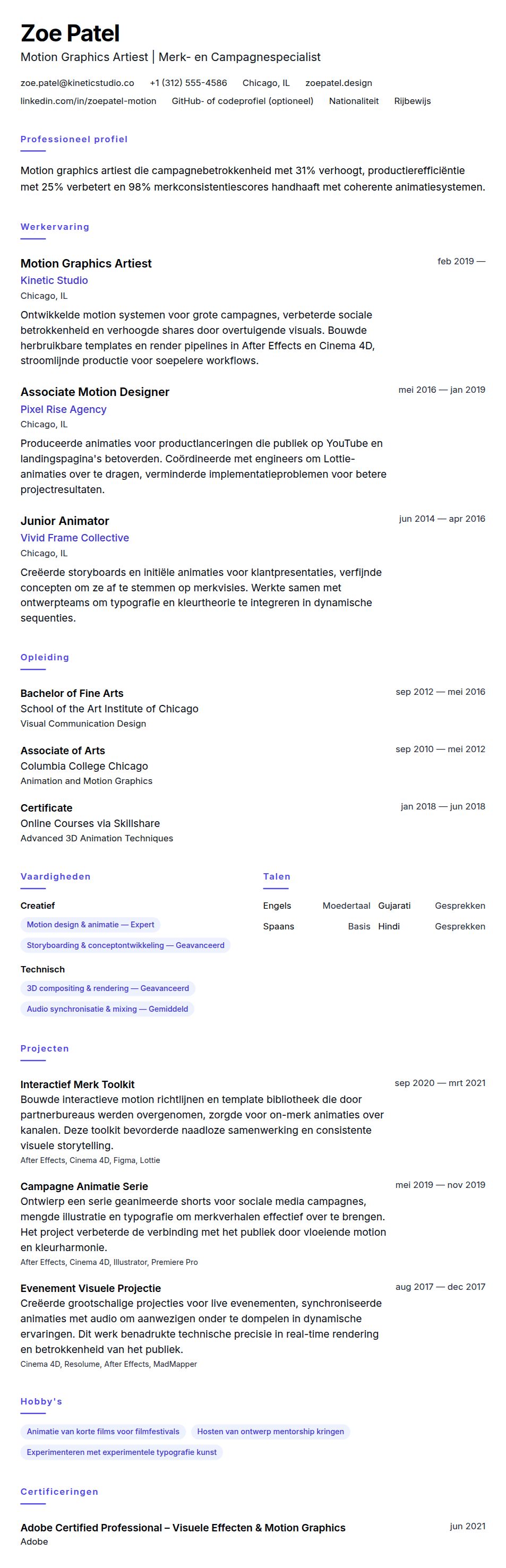 Cv-voorvertoning voor Voorbeeld CV Motion Graphics Artiest