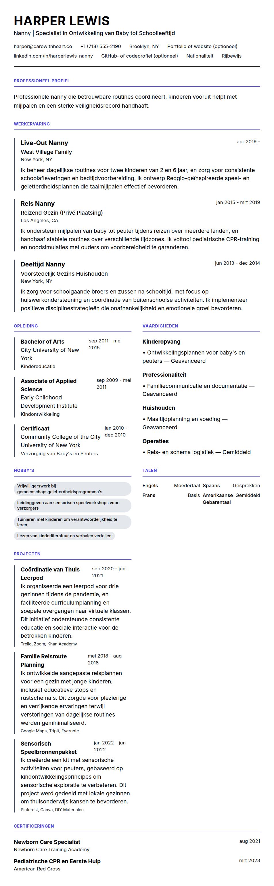 Cv-voorvertoning voor Nanny CV Voorbeeld