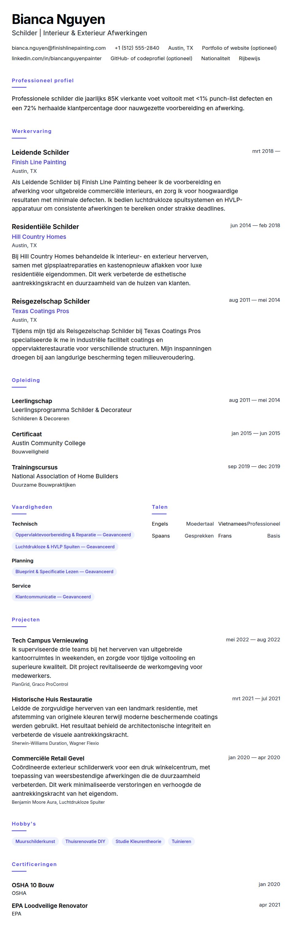 Cv-voorvertoning voor Voorbeeld Schilder CV