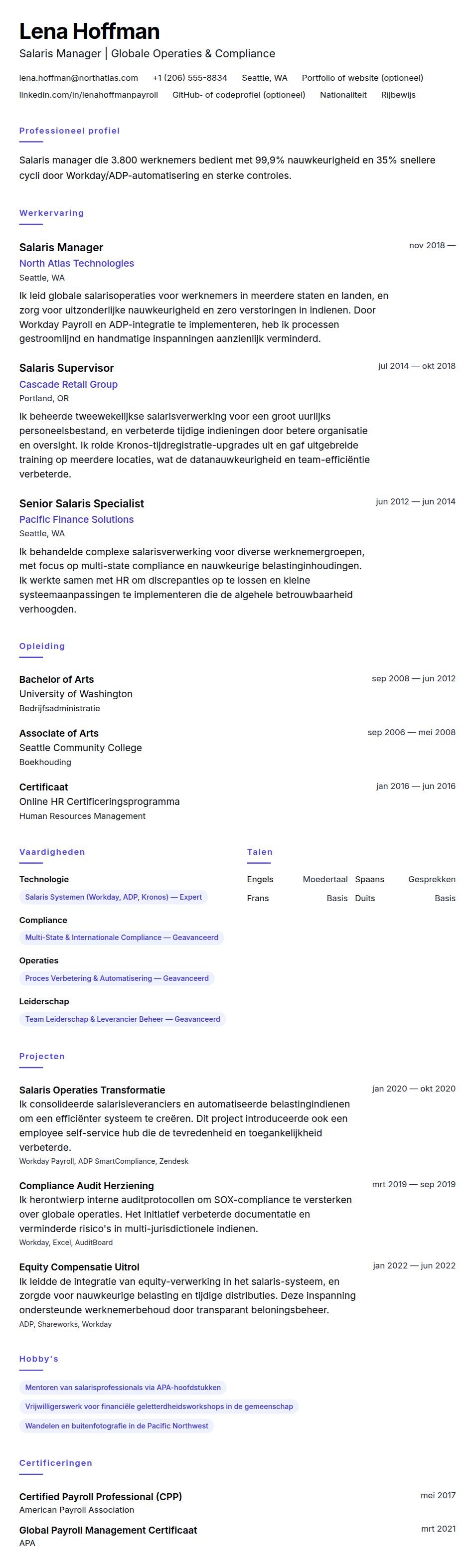 Cv-voorvertoning voor Salaris Manager CV Voorbeeld