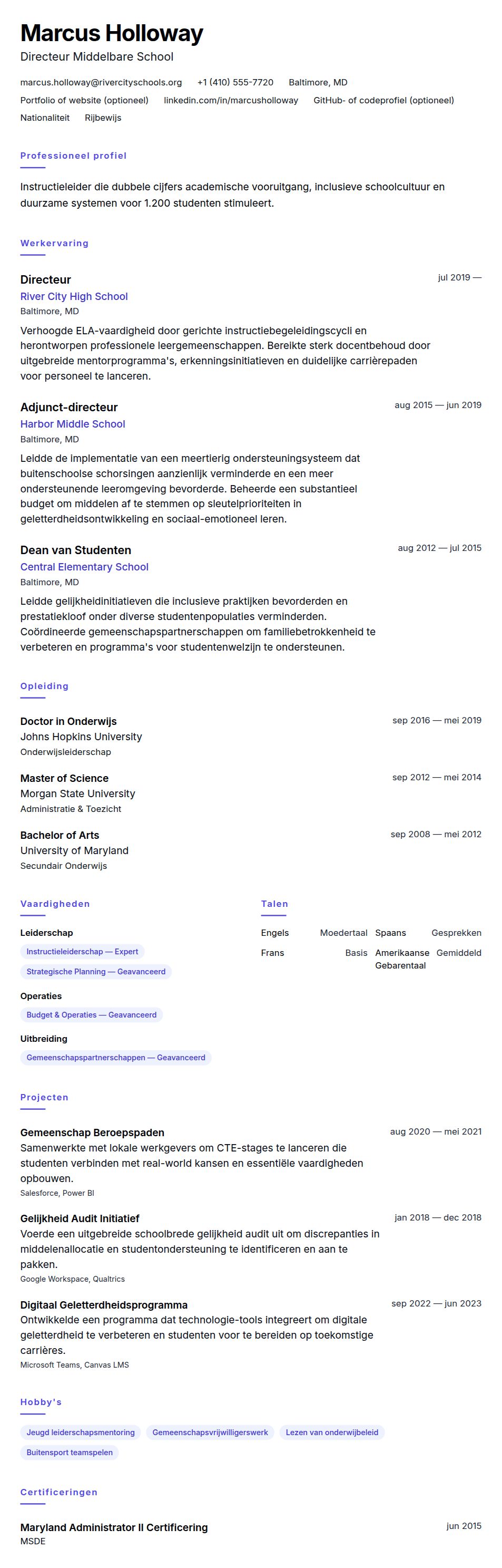 Cv-voorvertoning voor Voorbeeld Directeur CV