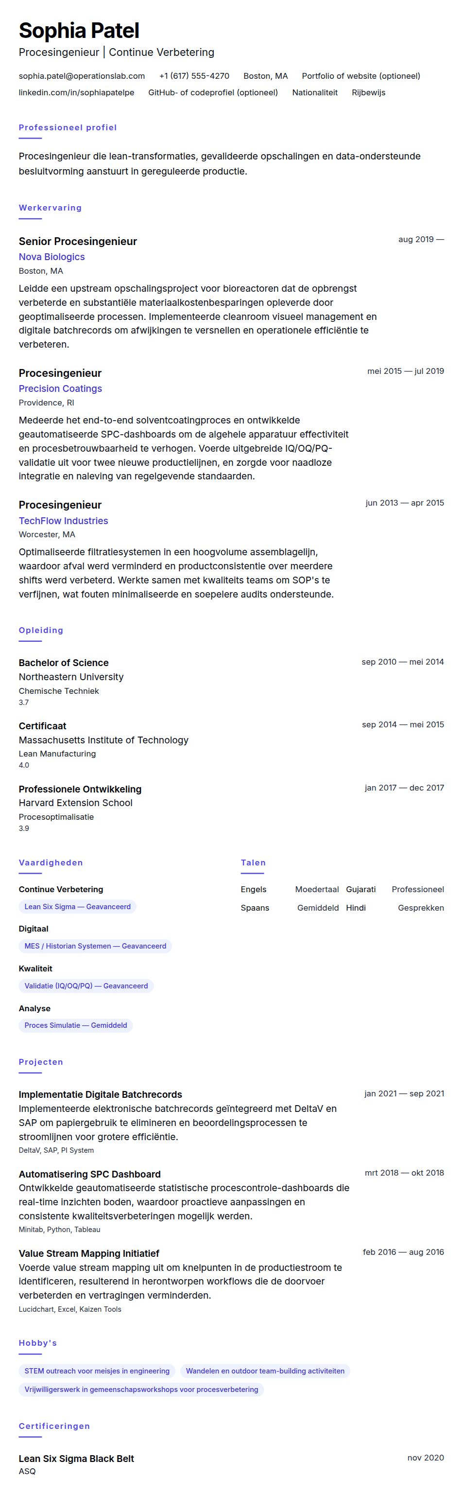 Cv-voorvertoning voor Procesingenieur CV-voorbeeld