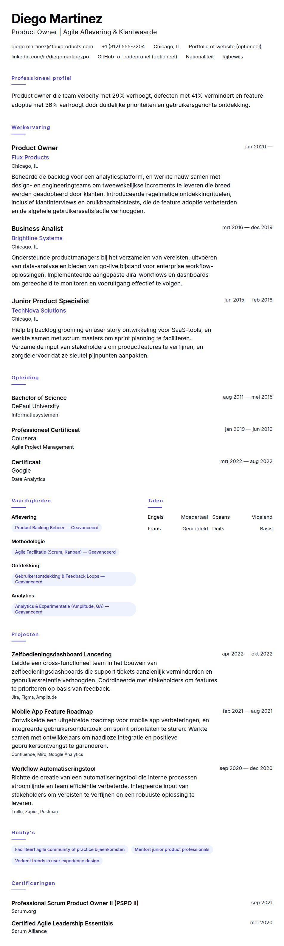 Cv-voorvertoning voor Voorbeeld CV Product Owner