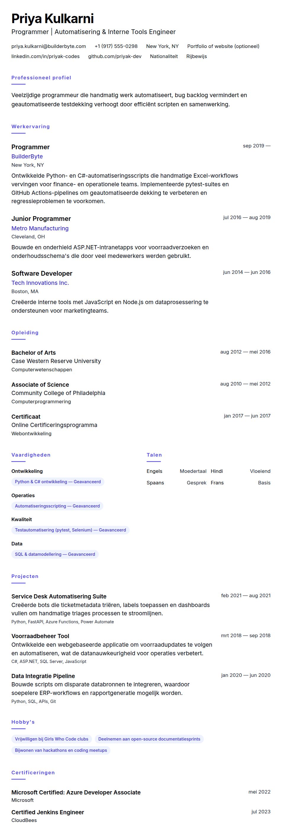 Cv-voorvertoning voor Voorbeeld Programmeur CV