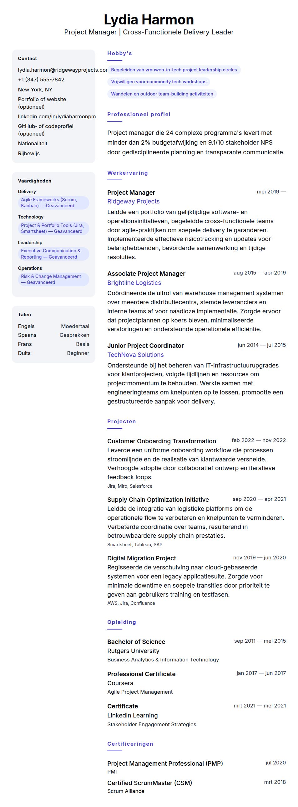 Cv-voorvertoning voor Voorbeeld CV Project Manager