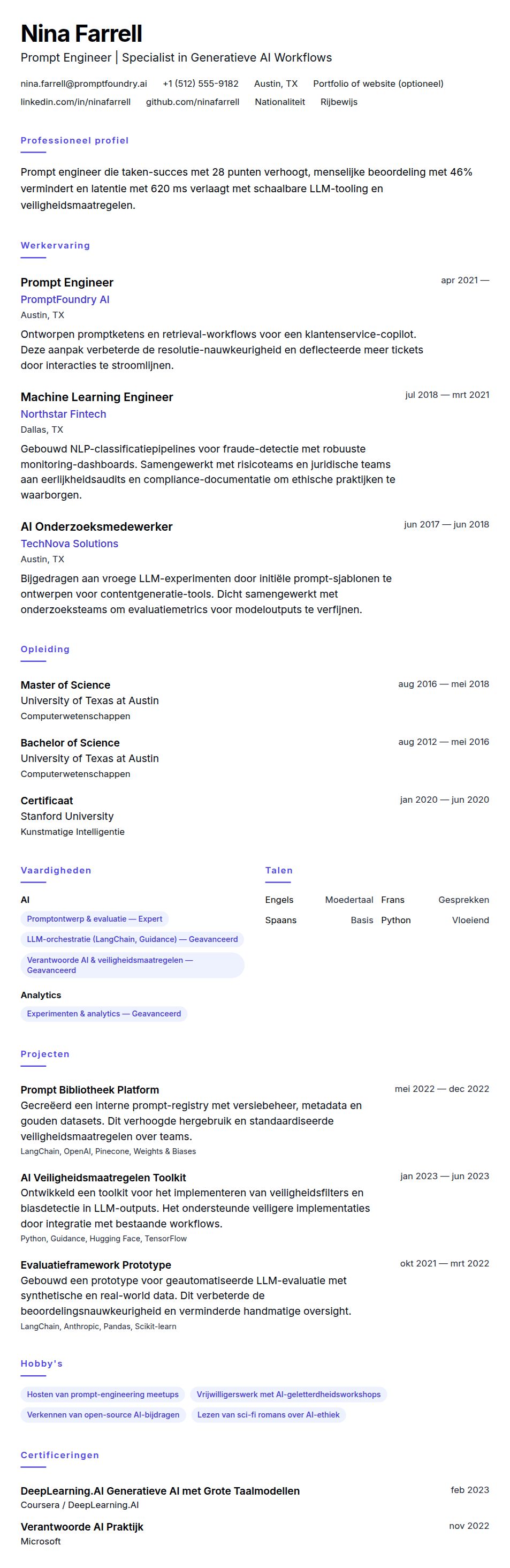 Cv-voorvertoning voor Voorbeeld CV Prompt Engineer