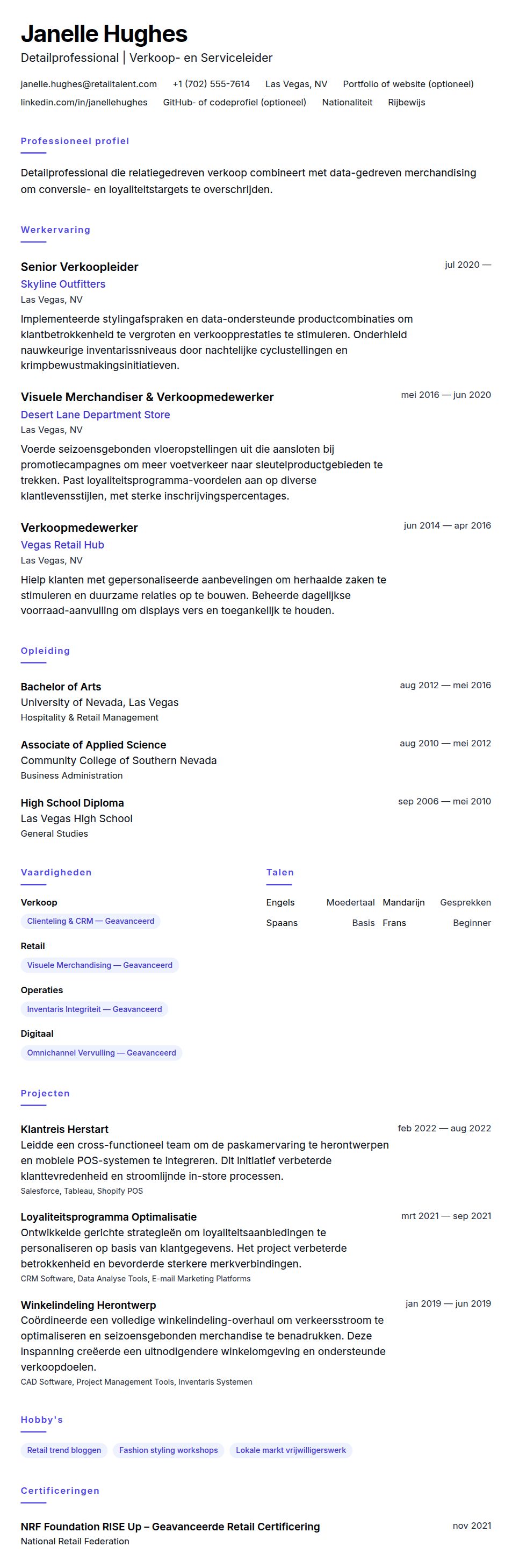 Voorbeeld CV Detailprofessional