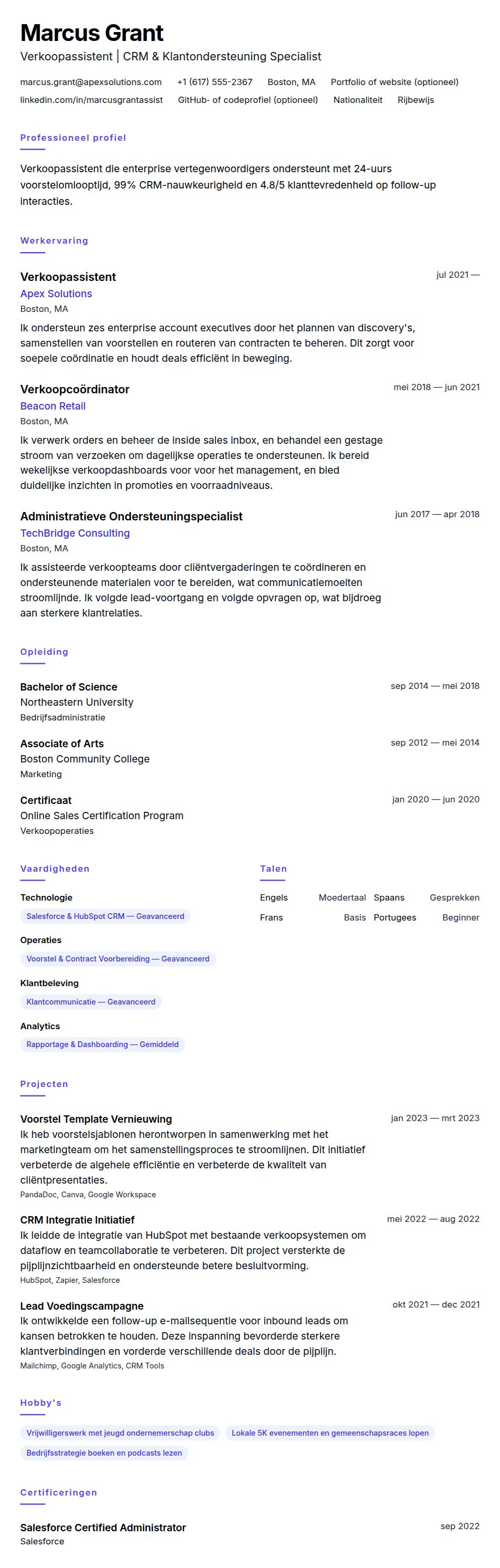 Cv-voorvertoning voor Voorbeeld CV Verkoopassistent