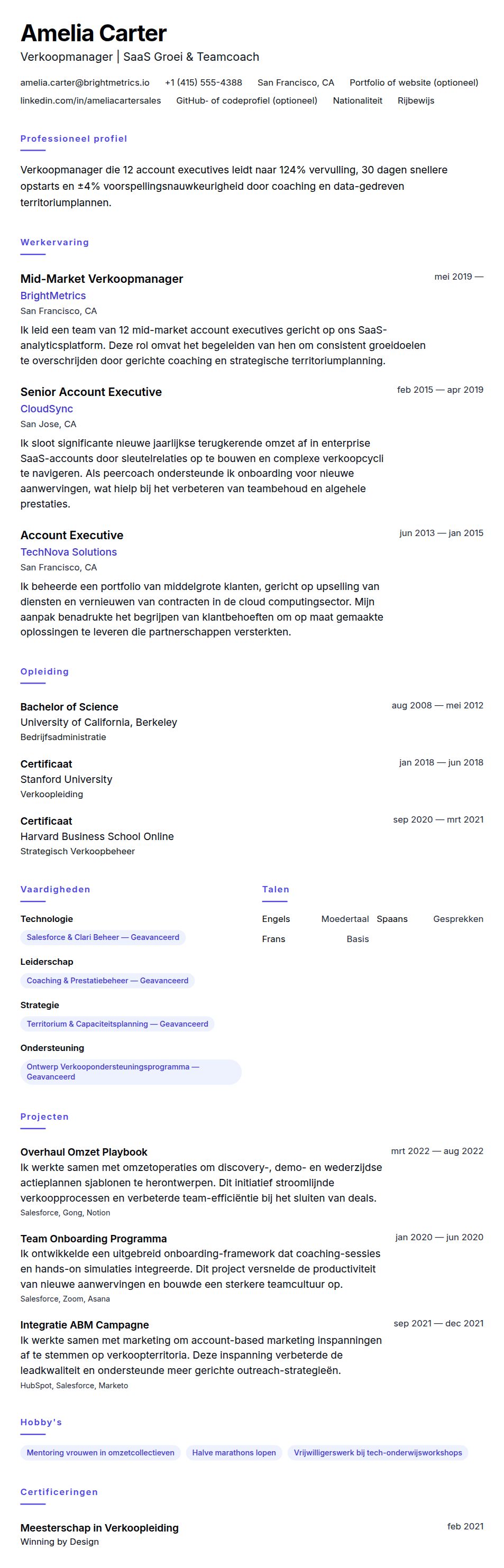 Voorbeeld CV Verkoopmanager