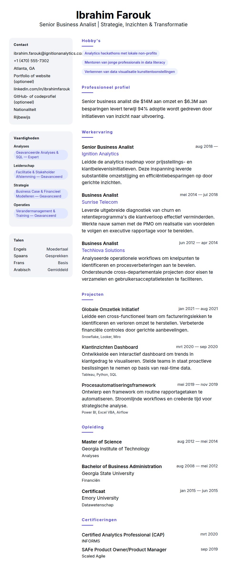 Cv-voorvertoning voor Senior Business Analist CV Voorbeeld