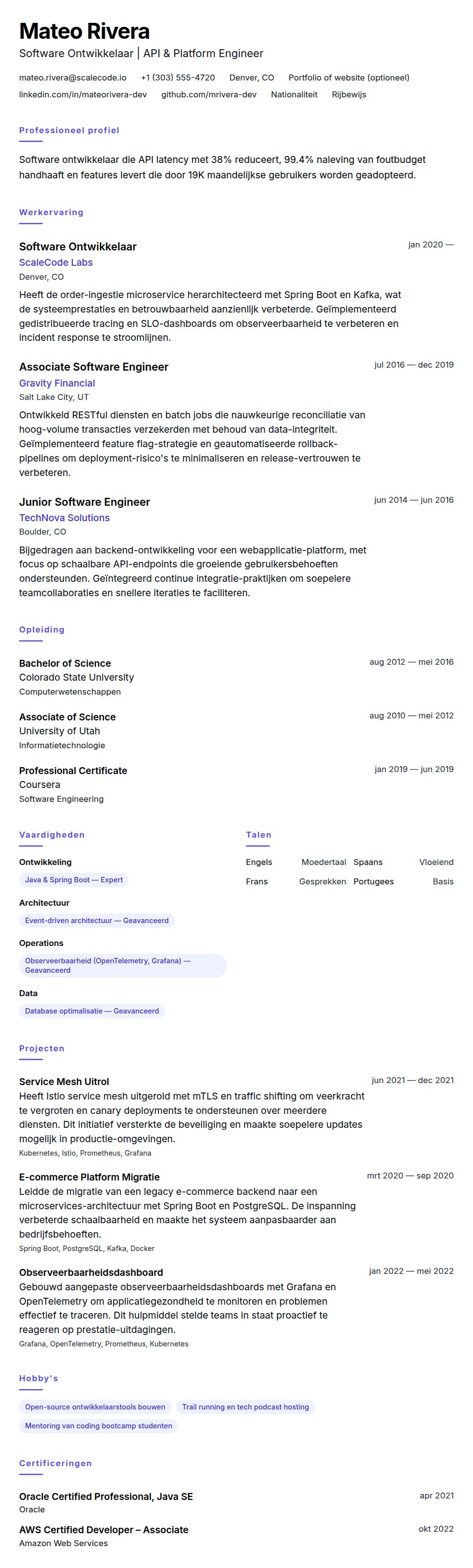 Cv-voorvertoning voor Voorbeeld CV Software Ontwikkelaar