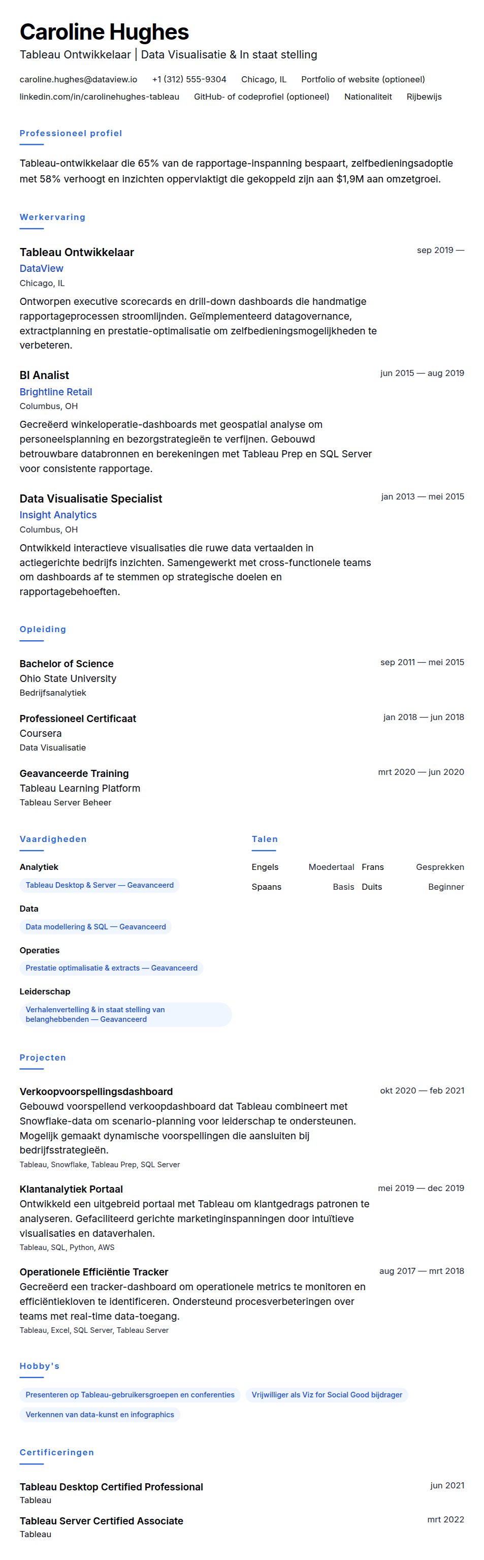 Cv-voorvertoning voor Voorbeeld CV Tableau Ontwikkelaar