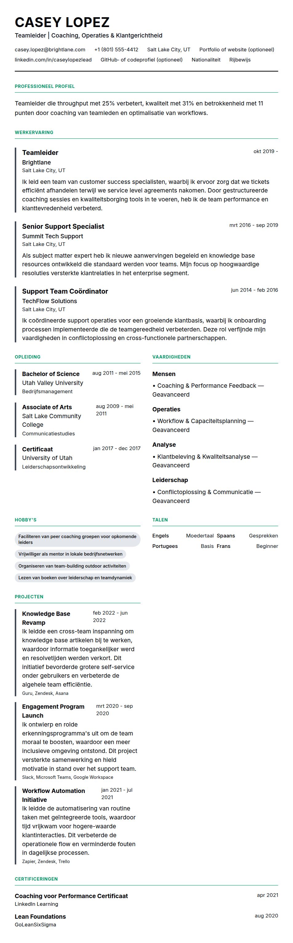 Cv-voorvertoning voor Voorbeeld CV Teamleider