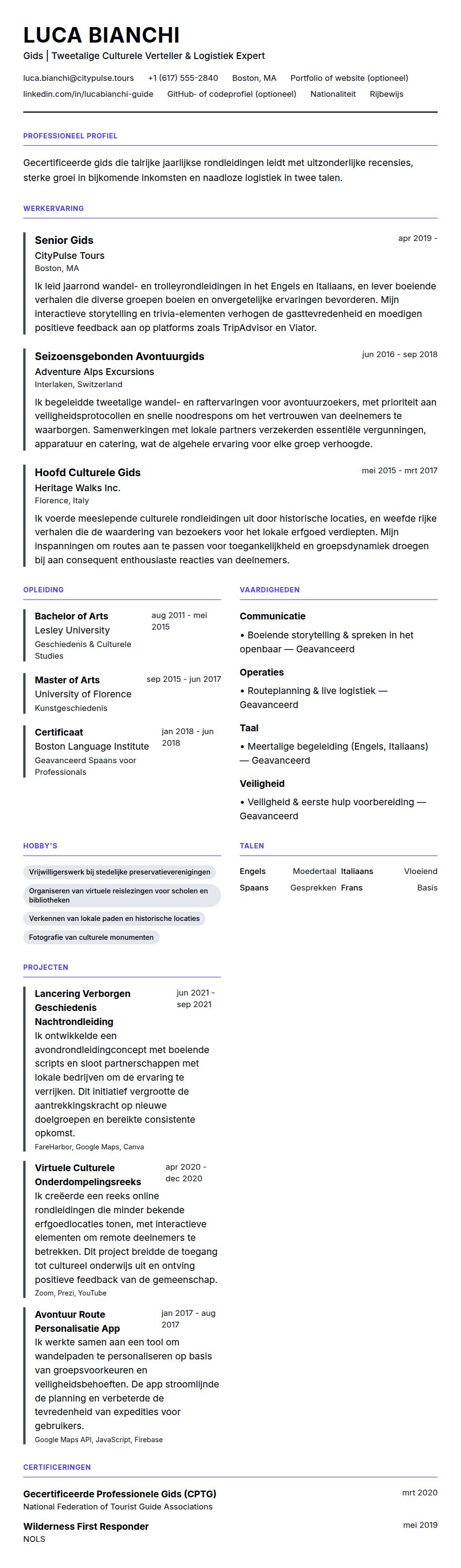 Cv-voorvertoning voor Gids CV-voorbeeld