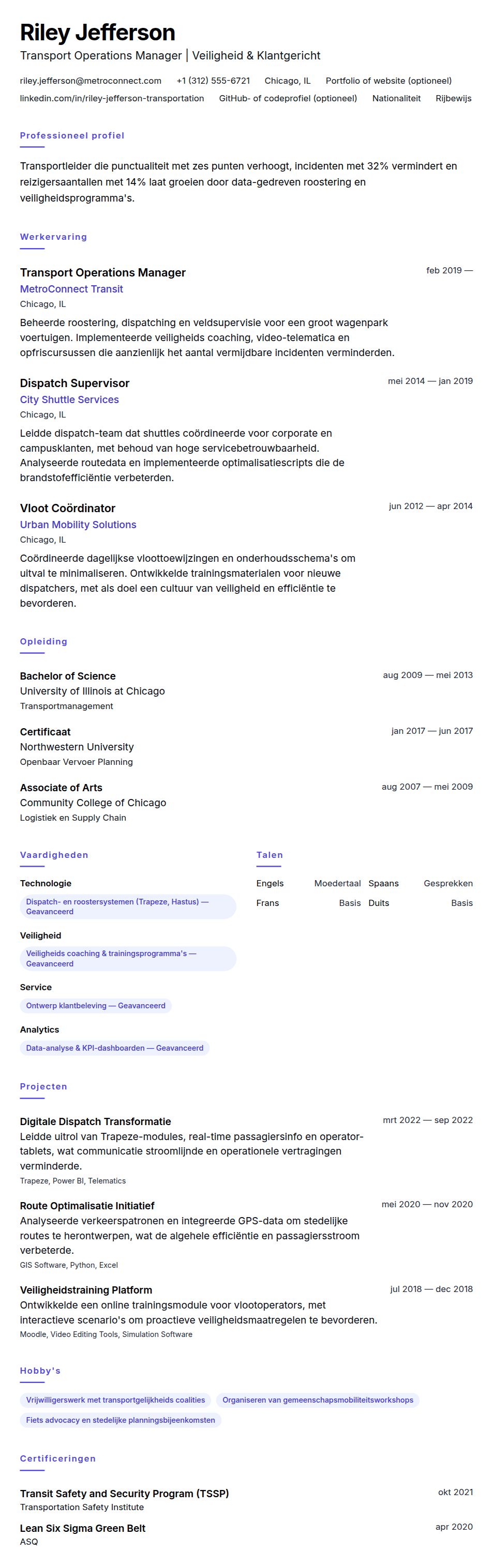 Cv-voorvertoning voor Voorbeeld cv Transportprofessional