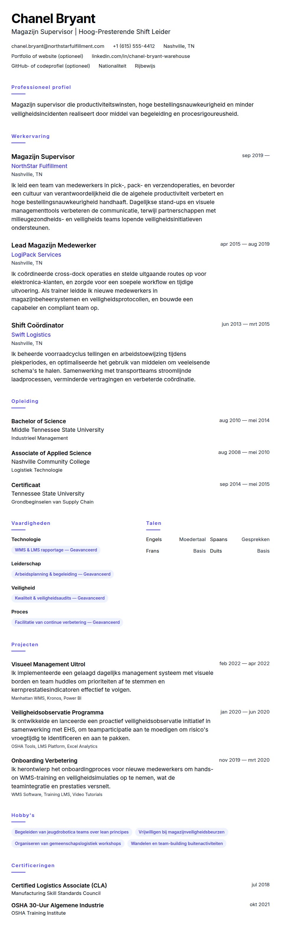 Cv-voorvertoning voor Magazijn Supervisor CV Voorbeeld