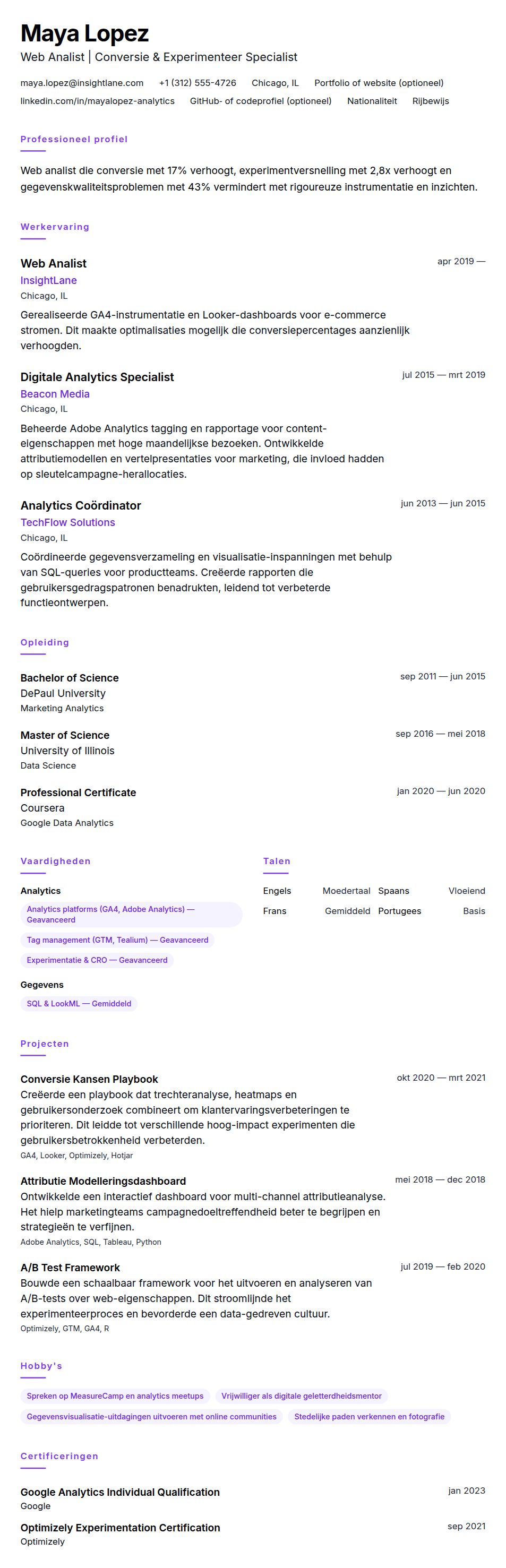 Cv-voorvertoning voor Voorbeeld CV Web Analist