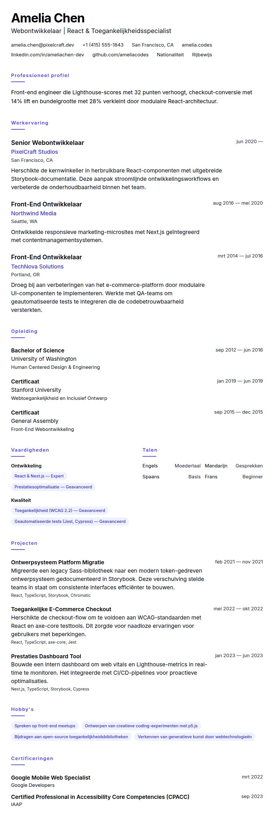 Cv-voorvertoning voor Voorbeeld CV Webontwikkelaar
