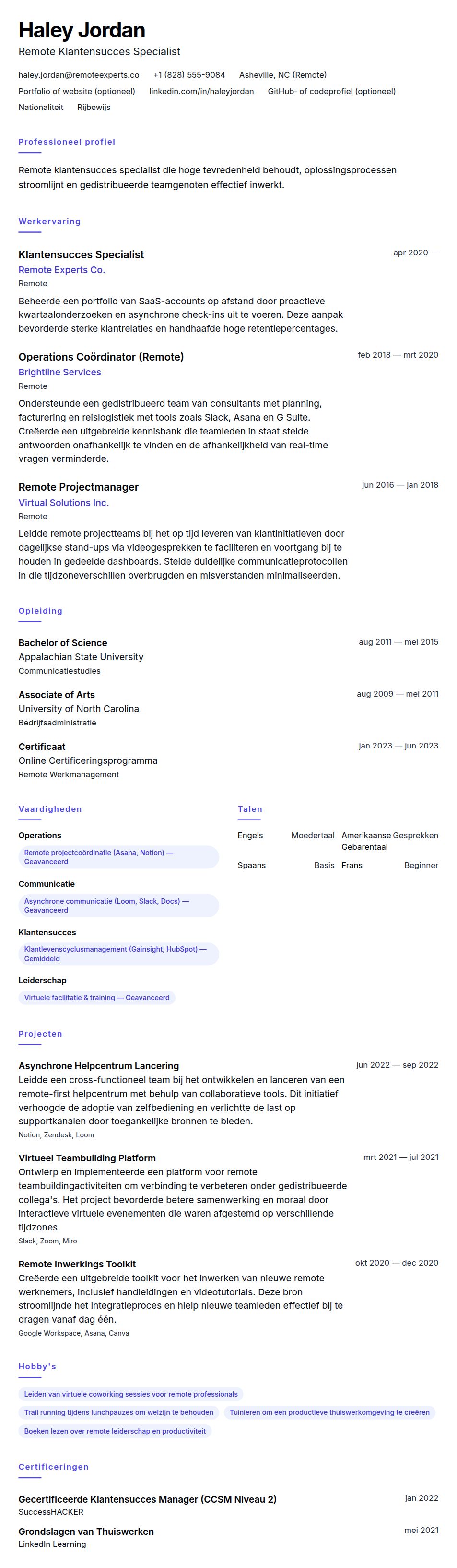Thuiswerk Professional CV Voorbeeld