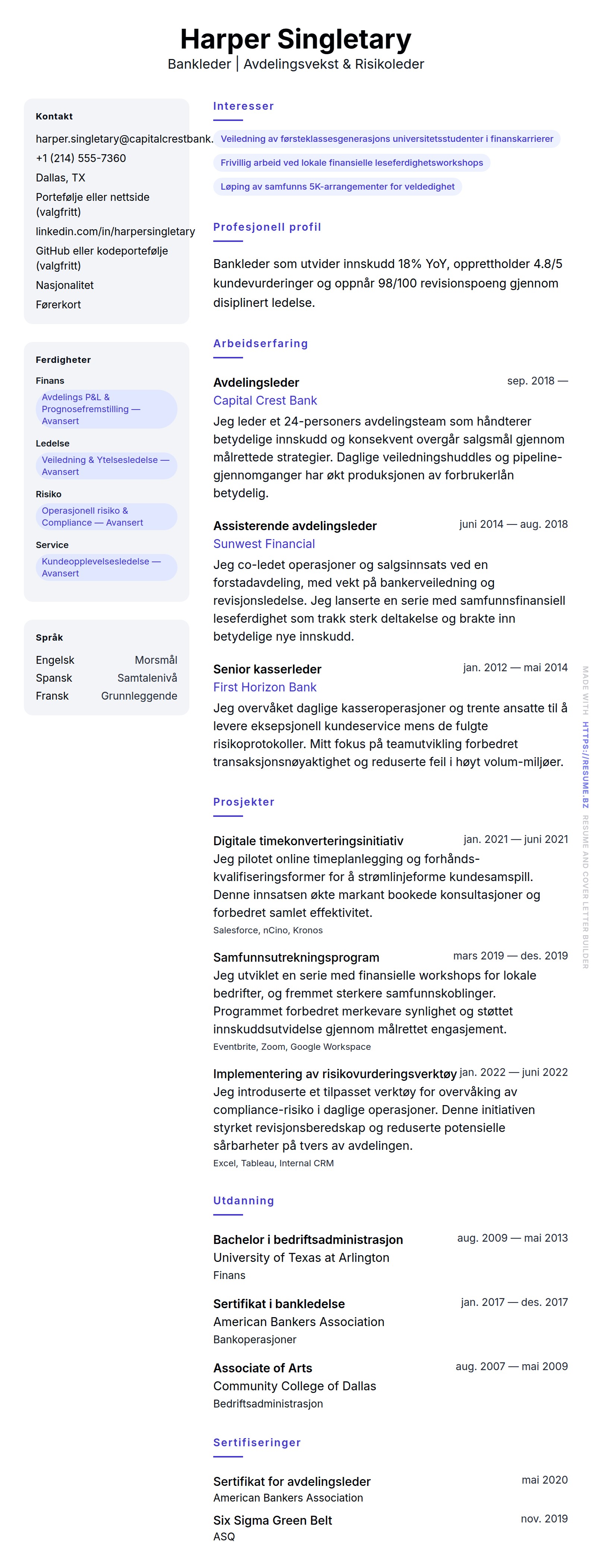 CV-forhåndsvisning for Bankleder CV-eksempel