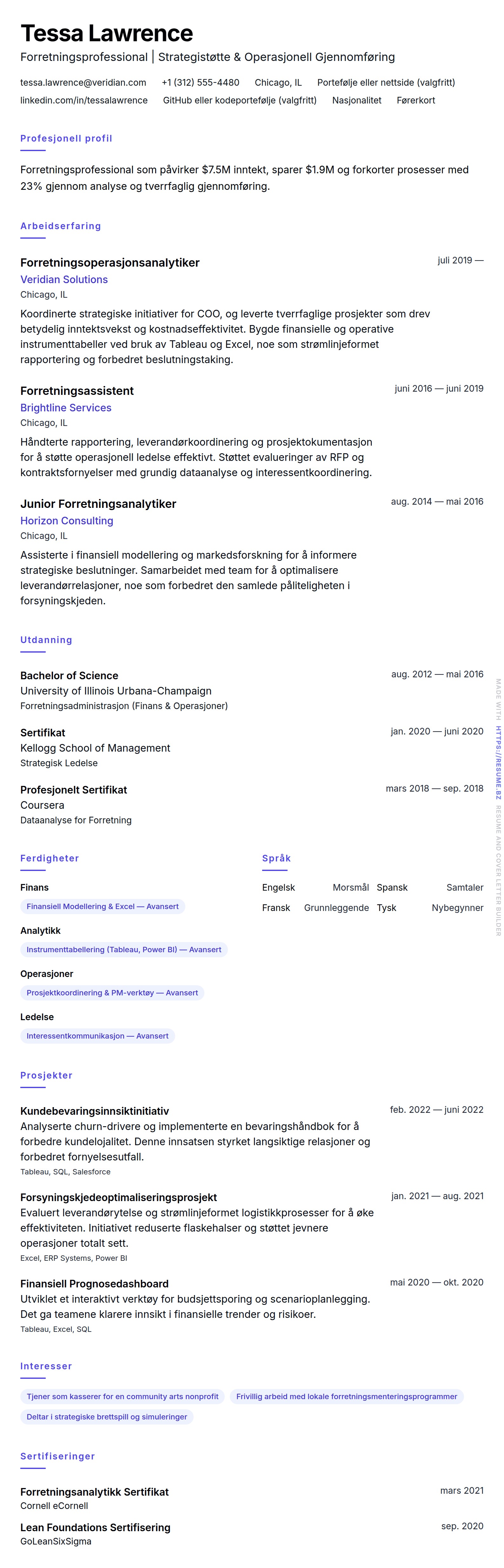 CV-forhåndsvisning for Forretningsprofessional CV-eksempel